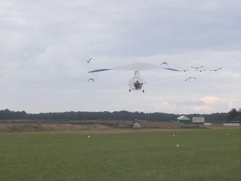 vol avec les oies08